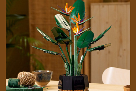 A nyáron érezik a LEGO 10289 Bird of Paradise készlet!