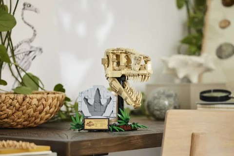 Dinoszaurusz maradványok: T-Rex koponya