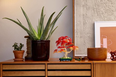 Ismerd meg a LEGO® Botanicals Vöröslevelű japán juhar bonsai szettet!