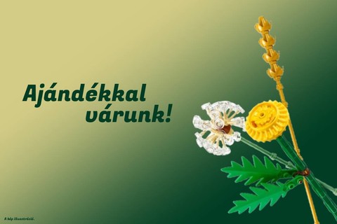 LEGO® Botanicals vásárlásod mellé ajándék készlet járhat február 23-tól
