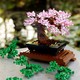 LEGO® Botanicals 10281 - Bonsai fa