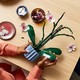LEGO® Botanicals 10311 - Orchidea