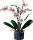 LEGO® Botanicals 10311 - Orchidea