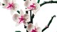 LEGO® Botanicals 10311 - Orchidea