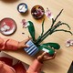 LEGO® Botanicals 10311 - Orchidea