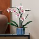 LEGO® Botanicals 10311 - Orchidea