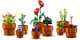 LEGO® Botanicals 10329 - Apró cserepes növények