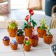 LEGO® Botanicals 10329 - Apró cserepes növények