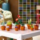 LEGO® Botanicals 10329 - Apró cserepes növények
