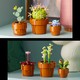 LEGO® Botanicals 10329 - Apró cserepes növények