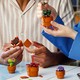 LEGO® Botanicals 10329 - Apró cserepes növények