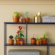 LEGO® Botanicals 10329 - Apró cserepes növények