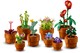 LEGO® Botanicals 10329 - Apró cserepes növények
