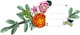 LEGO® Botanicals 10342 - Rózsaszín virágcsokor