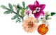 LEGO® Botanicals 10342 - Rózsaszín virágcsokor