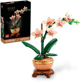 Mini orchidea