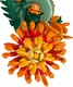 LEGO® Botanicals 10368 - Krizantém