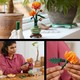 LEGO® Botanicals 10368 - Krizantém