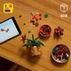 LEGO® Botanicals 10370 - Mikulásvirág