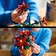 LEGO® Botanicals 10370 - Mikulásvirág