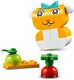 LEGO® Classic 11034 - Kreatív háziállatok