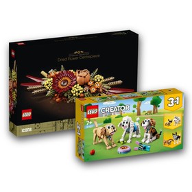 LEGO® Felnőtt + Gyermek csomag
