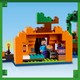 LEGO® Minecraft™ 21248 - A sütőtök farm