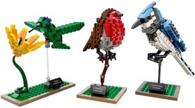 LEGO® Ideas - CUUSOO 21301 - Madarak