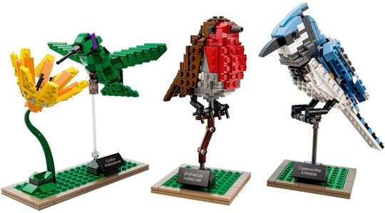 LEGO® Ideas - CUUSOO 21301 - Madarak