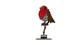 LEGO® Ideas - CUUSOO 21301 - Madarak