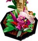 LEGO® ICONS 21342 - A rovargyűjtemény