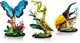 LEGO® ICONS 21342 - A rovargyűjtemény
