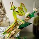 LEGO® ICONS 21342 - A rovargyűjtemény