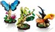 LEGO® ICONS 21342 - A rovargyűjtemény