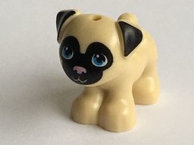 Bézs Mopsz Kiskutya