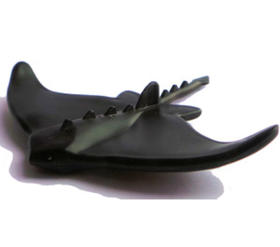Fekete színű Ördögrája (Manta Ray)