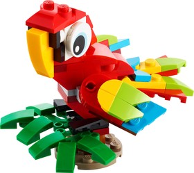 Tropical Parrot