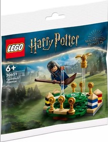 Harry Potter Kviddics edzés