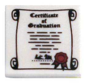 Fehér 2x2 Diploma