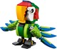 LEGO® Creator 3in1 31031 - Őserdei állatok