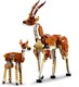 LEGO® Creator 3in1 31150 - Afrikai vadállatok