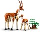 LEGO® Creator 3in1 31150 - Afrikai vadállatok