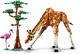 LEGO® Creator 3in1 31150 - Afrikai vadállatok