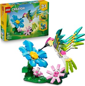 Vadállatok: Színpompás kolibri