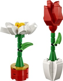 Flower Display