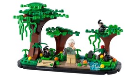 Jane Goodall Tribute