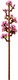 LEGO® Seasonal 40725 - Cseresznyevirágok