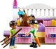 LEGO® Friends 41057 - Heartlake Lovas Show