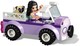 LEGO® Friends 41360 - Emma mozgó kisállat kórháza