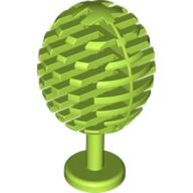 Lime Fa